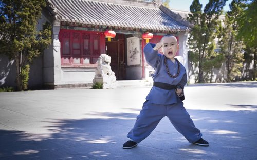 1-araw na paglilibot sa Henan Shaolin Temple + Longmen Grottoes 