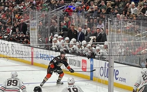 Anaheim Ducks Ice Hockey Game at Honda Center