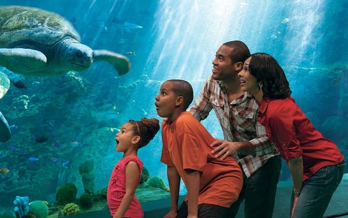 圣地亚哥海洋世界门票