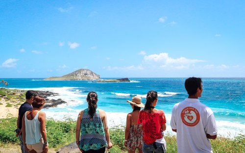 Oahu Circle Island Tour with Malasadas and Garlic Shrimp
