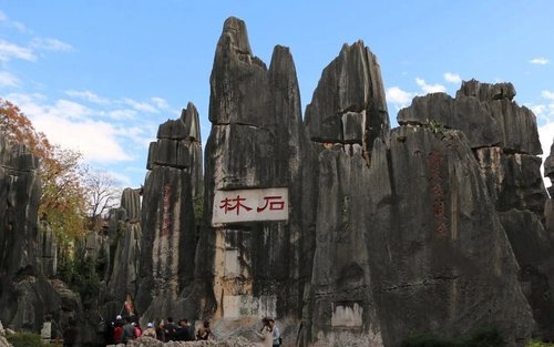 Experiencia de día completo en el Bosque de Piedra de Kunming y Jiuxiang