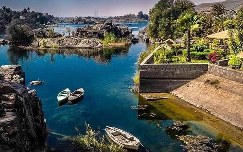 Visite culturelle privée d'une demi-journée au jardin botanique d'Assouan