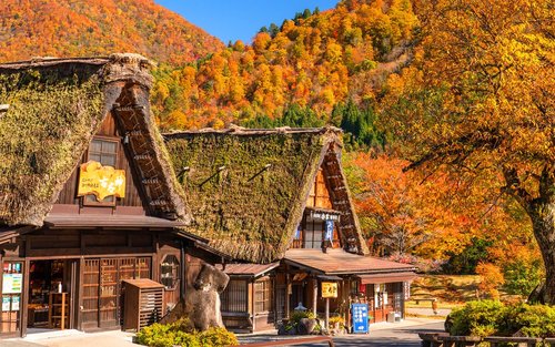 Gujo Hachiman & Hida Takayama & Shirakawa-go Gassho Village Day Trip