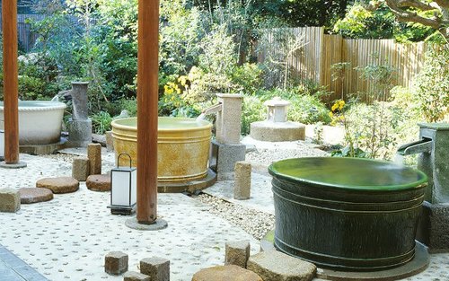 豊島園 庭の湯 入館チケット（東京）