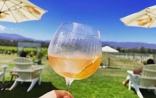 Melbourne: Yarra Valley foodies tour with Chandon & Kangaroo Safari!