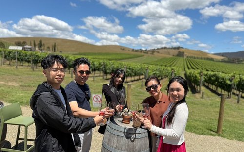 Visite touristique privée d'une journée complète de la vallée de Yarra à Melbourne