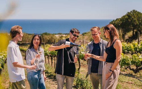 Cruise, Vineyard and Wine Tasting Tour from Barcelona