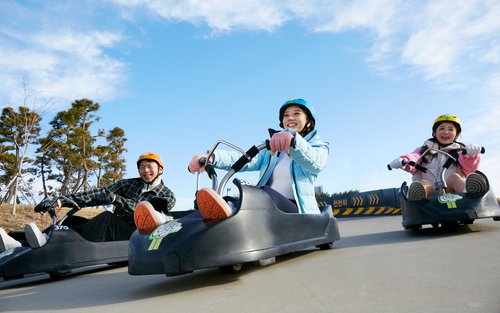 Skyline Luge Busan Ticket