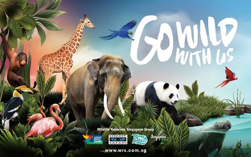 Singapore Zoo Ticket | Mandai Wildlife Reserve, Singapore