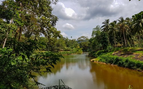 ทัวร์เดินป่าที่เขตป่าสงวนสิงหราชา (Sinharaja Rainforest) จากมิริสซา