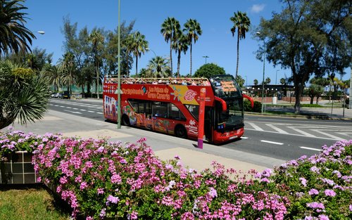 大加那利岛拉斯帕尔马斯随上随下观光巴士之旅