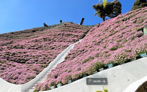 フローラパーク 入場チケット（キャメロンハイランド）