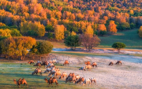 Beijing Ulan Butong Grassland 3-Day Cultural Tour
