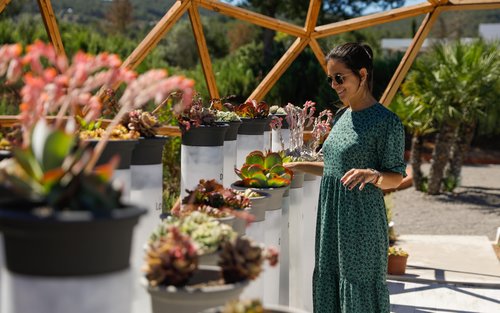 Tur Kebun Raya Bioteknologi Ibiza