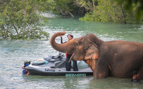 Phuket Jet Ski 2h Tour with Elephant Care Camp