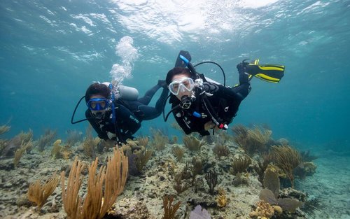 Première plongée à Koh Chang avec centre PADI 5 étoiles