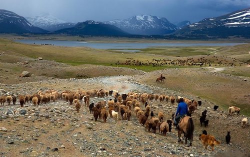  Arkhangai & Tsenkher Hot Spring Nomadic Culture Experience 