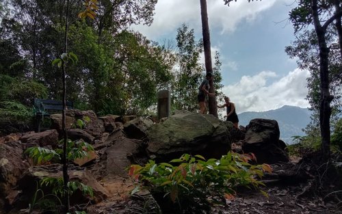 Taman Negara National Park Trekking Join-In Dagtour