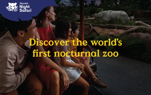 新加坡夜间野生动物园门票（含游园车之旅）