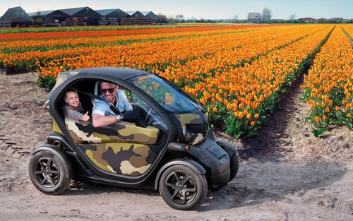 Self-Drive Electric Car Tour from Lisse with GPS and Audio Guide