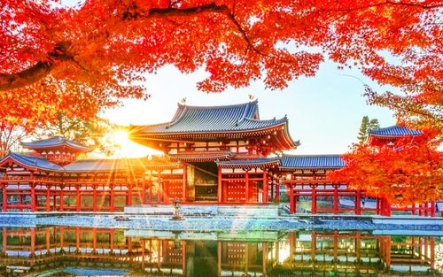 【Nara Uji egynapos túra】 Byōdō-in templom・Gendzsi Monogatari Múzeum・Uji természetes forró forrás Gendzsi no Yu・Nara Park・Tōdai-ji templom・Kasuga Taisha szentély