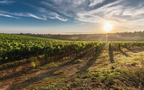 Chianti Sonnenuntergang Weinprobe-Erlebnis ab Florenz