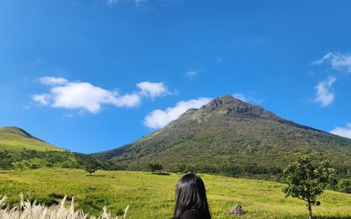 [한국어 가이드 & 리뷰 이벤트] [💓히타오픈💓] "히타+유후인+유후다케+벳푸" 후쿠오카 버스투어 일일투어 (라쿠투어)