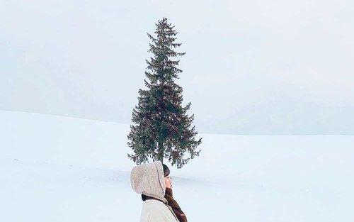 [한국인 투어 & 리뷰 이벤트] [대형버스] 삿포로 비에이 1일 버스투어 북해도 홋카이도 자유여행 유투어버스
