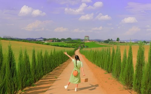 Anseong Flower Festival & Korea's Largest Golden Buddha (From Seoul)