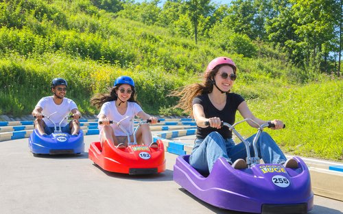 Całodniowa wycieczka po Inczonie: Luge, Railbike i prom z karmieniem mew