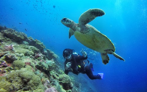 Nusa Penida Dive Delight: 3 Dives Full-Day Trip with PADI 5* Center