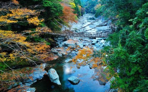 德岛出发包车一日游: 大冢国际美术馆/鸣门漩涡/祖谷葛藤桥(可自由搭配行程)