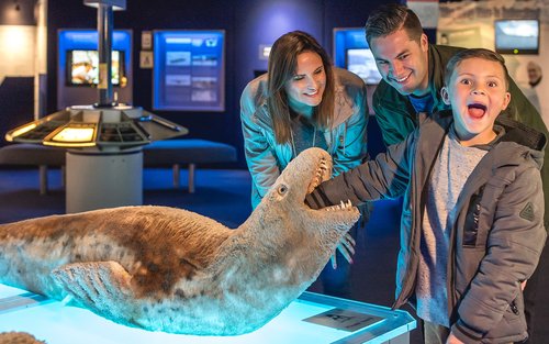 Tiket International Antarctic Centre di Christchurch