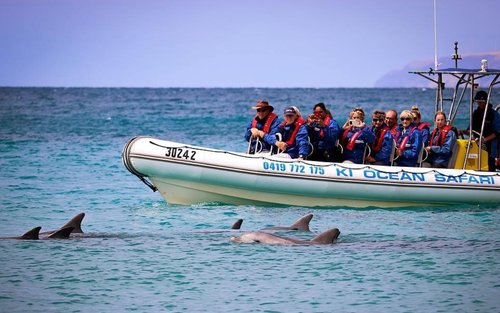 Kangaroo Island Ocean Safari Experience in Adelaide