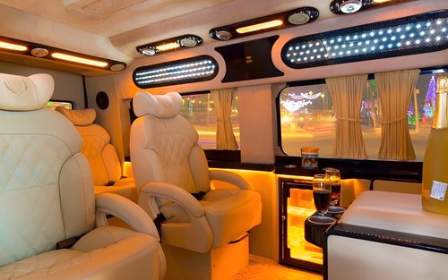 古芝地道和湄公河三角洲之旅（含VIP豪华轿车接送可选）