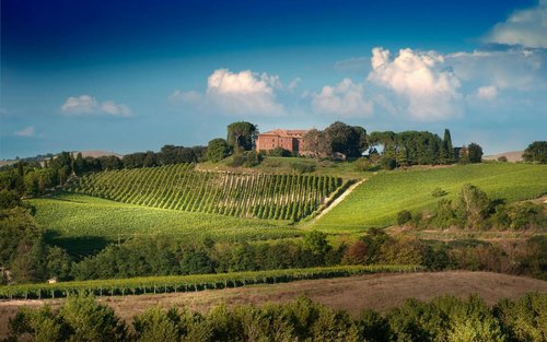 Brunello Weinprobe in Montalcino mit Mittagessen im Schloss