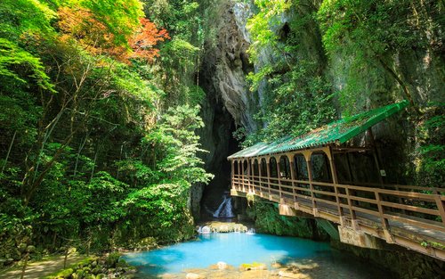Kitakyushu: Akiyoshido Cave & Motonosumi Inari Shrine & Tsunoshima Bridge Day Trip (Departing from Fukuoka)
