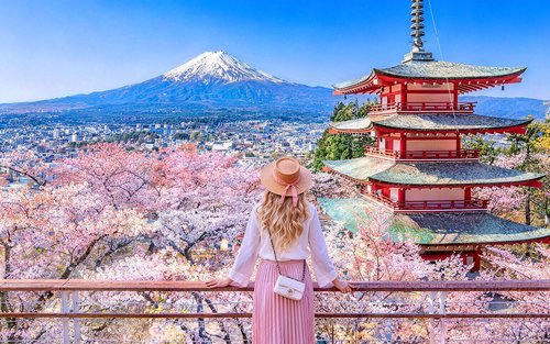 Excursion classique au mont Fuji | Parc Arakurayama Sengen / 5e station du mont Fuji / Oshino Hakkai et Gotemba Premium Outlets / Excursion d’une journée aux sources thermales | Départ de Tokyo/Shinjuku
