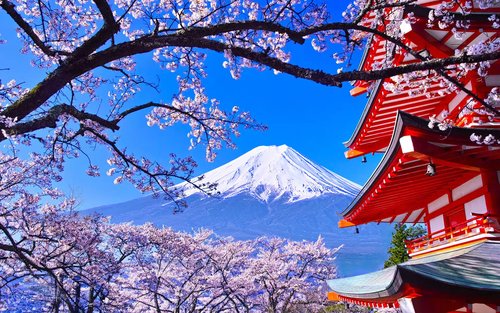 [One-Day Tour Exploring the Magnificent Views of Mount Fuji] Arakurayama Sengen Park & Lake Kawaguchi Oishi Park & Oshino Hakkai & Instagram-Famous Lawson & Nikawa Tokeiten (Departure from Tokyo)