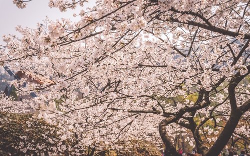 杭州市内客制化包车