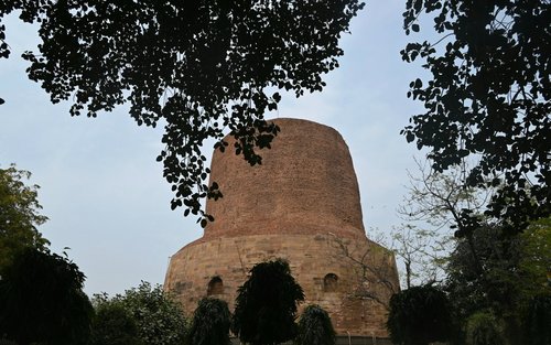 Biglietto d'ingresso a Sarnath (Dhamek Stupa + Museo) con guida opzionale