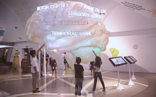 The Mind Museum BGC Ticket
