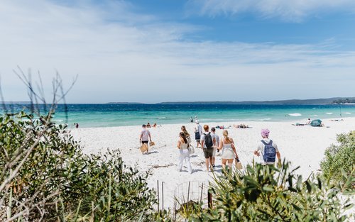Excursió d'un dia a la platja de Jervis Bay, cangurs i coales 