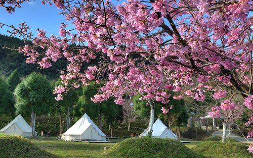 Hsinchu Camping Loving Hill Camping Glamping 
