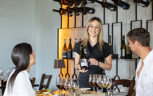 Catania Mount Etna Full-Day Volcano & Winery Experience