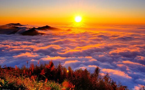 Cruise Bus between Chiayi and Alishan