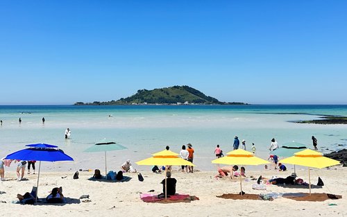 Jeju Healing UNESCO Small Group East/West/South Day Tour