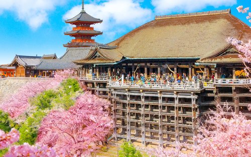 Kyoto Kinkaku-ji, Kiyomizu-dera, and Uji Full-Day Tour (with pickup and drop-off)