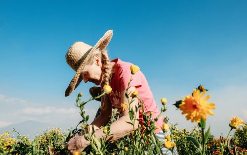 아톡 정원 일일 투어