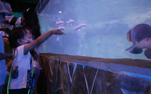 IOI City Farm Ticket in IOI City Mall Putrajaya